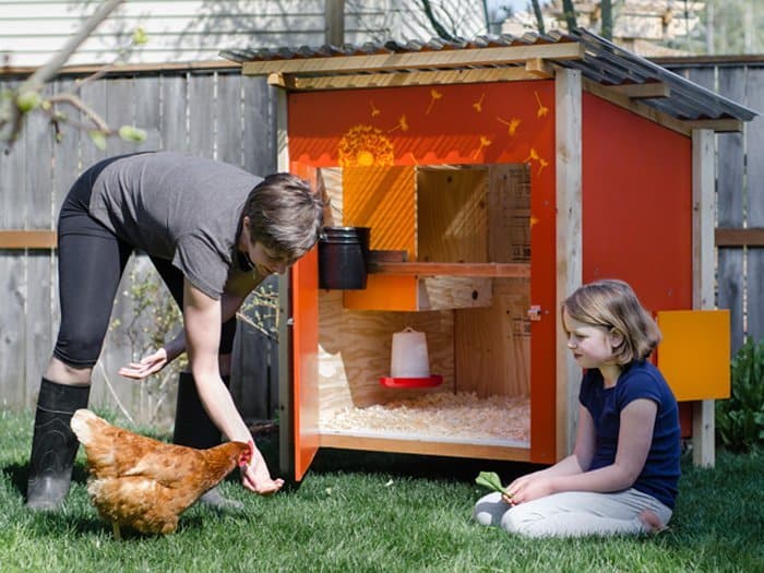 Chicken Roosting Ideas and How to Install Your Chicken Coop