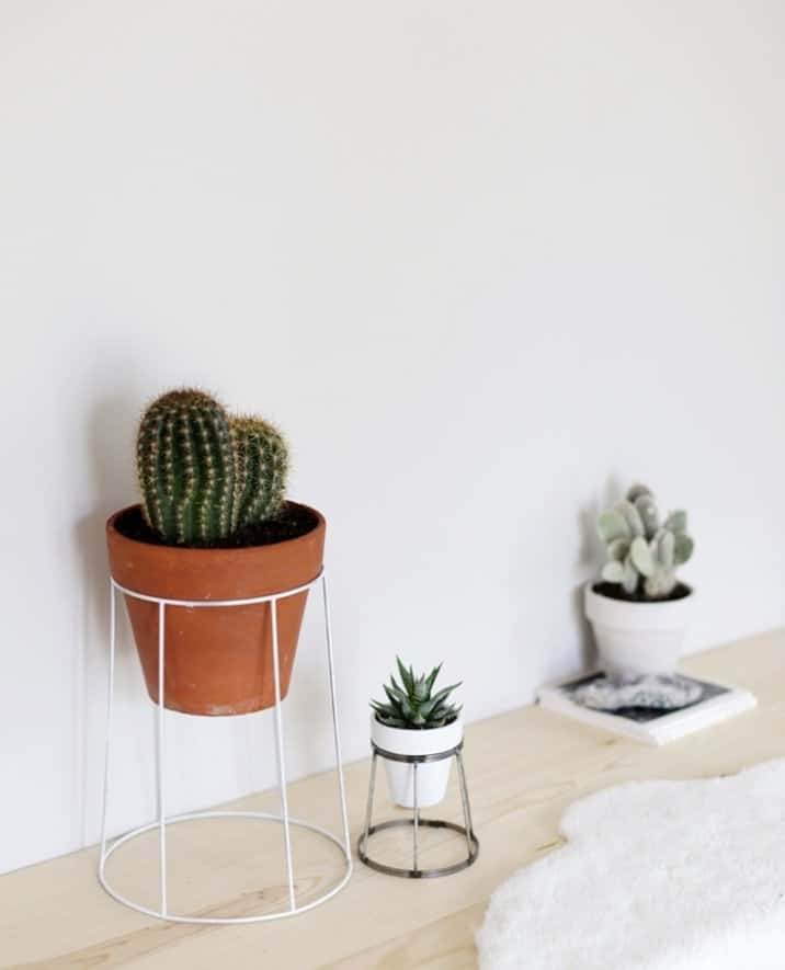 Pot Plant Stand