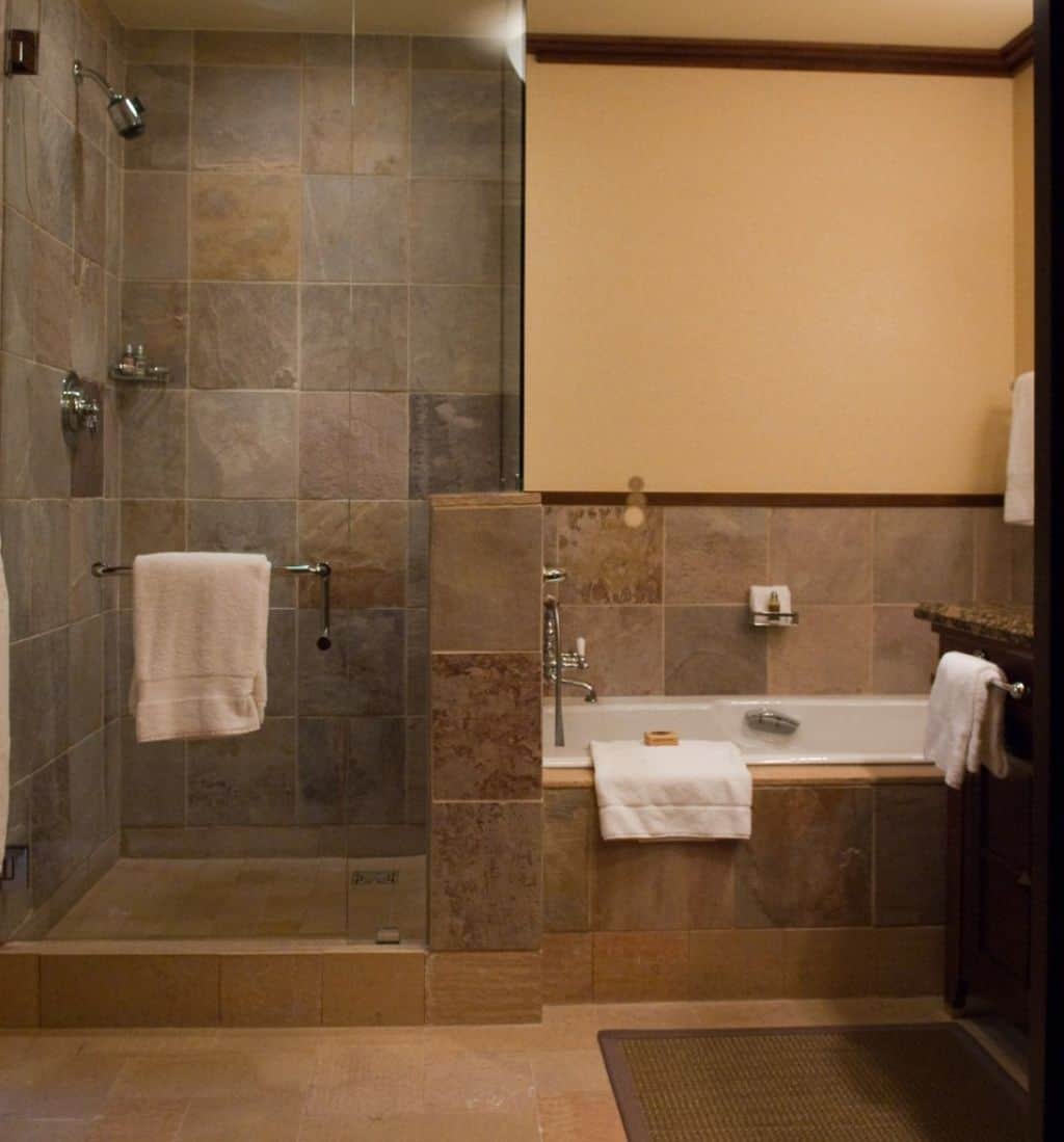 Pros and Cons of Having Doorless  Shower  on Your Home