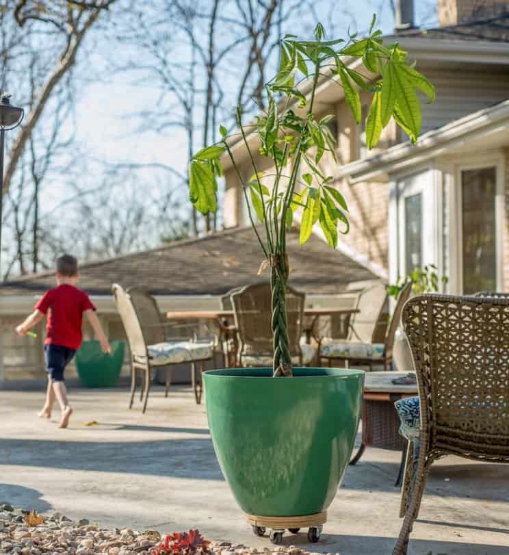 Metal Plant Stands