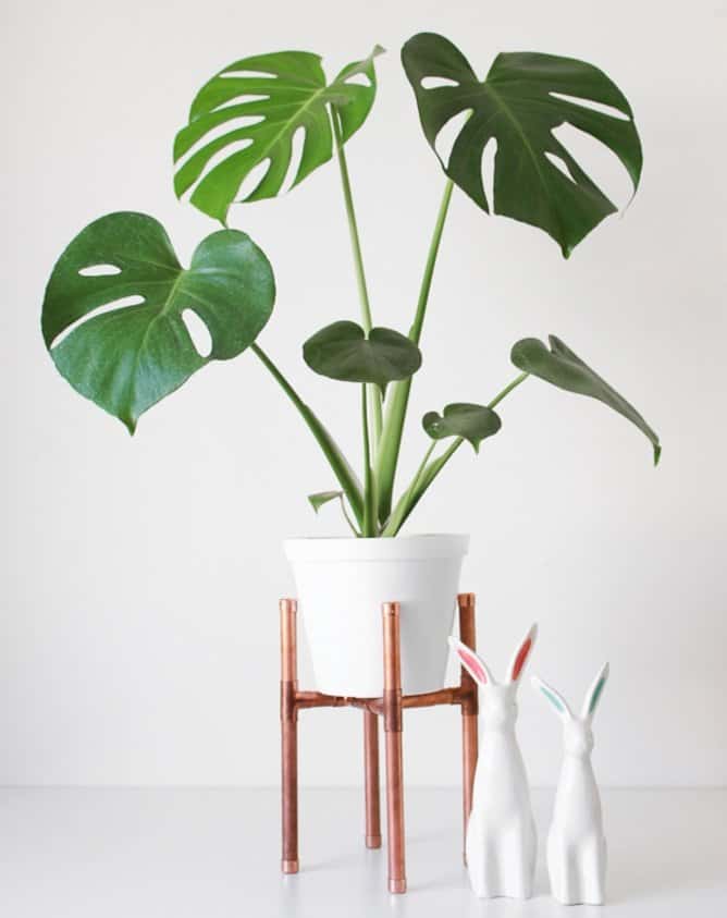 White Plant Stand