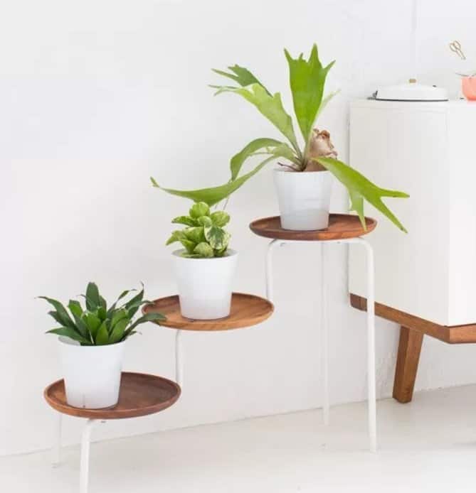 Plant Table