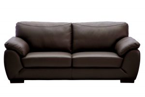 this is couch the difference between sofa and couch