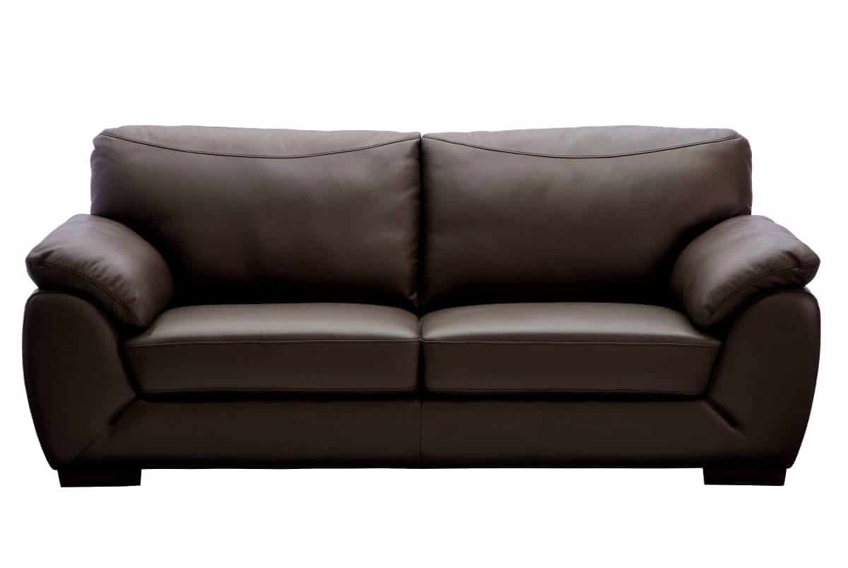 Couch vs. Sofa What's The Difference? (The Definitive Guide)