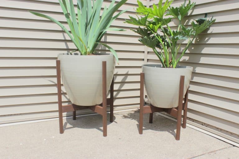 Tall Plant Stands