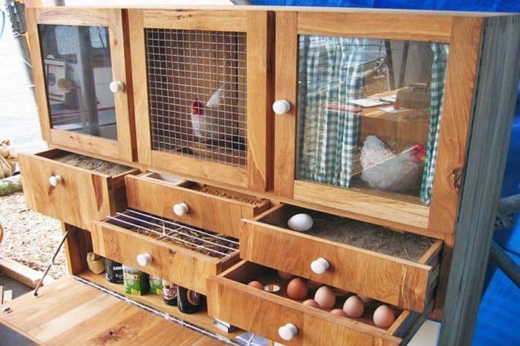 freddy chicken coop with chicken run nesting box roosting bar