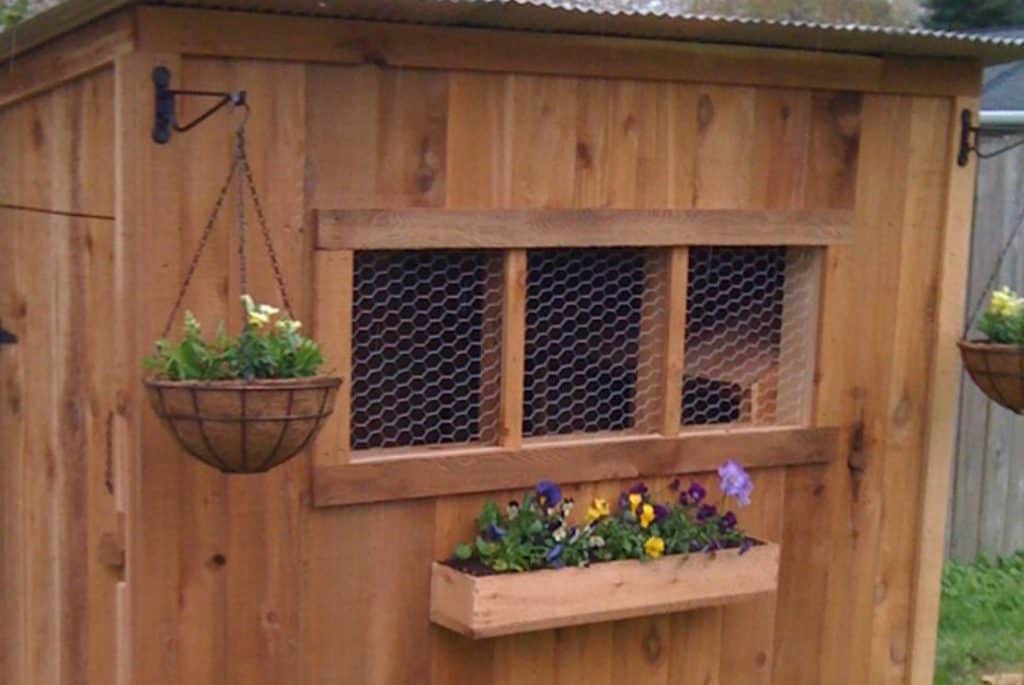 Chicken Roosting Ideas and How to Install Your Chicken Coop