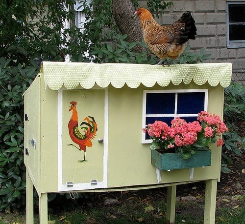 37 Chicken Roosting Ideas For Your Chicken Coop 