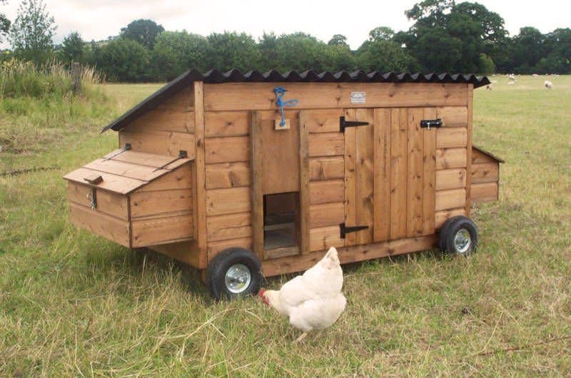 37+ Chicken Roosting Ideas For Your Chicken Coop