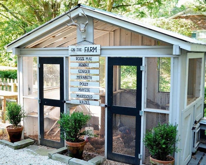 Chicken Roost Height From Floor