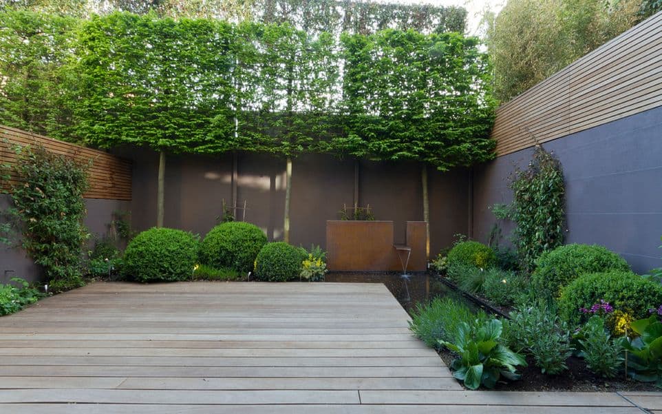 Ways to create privacy in backyard