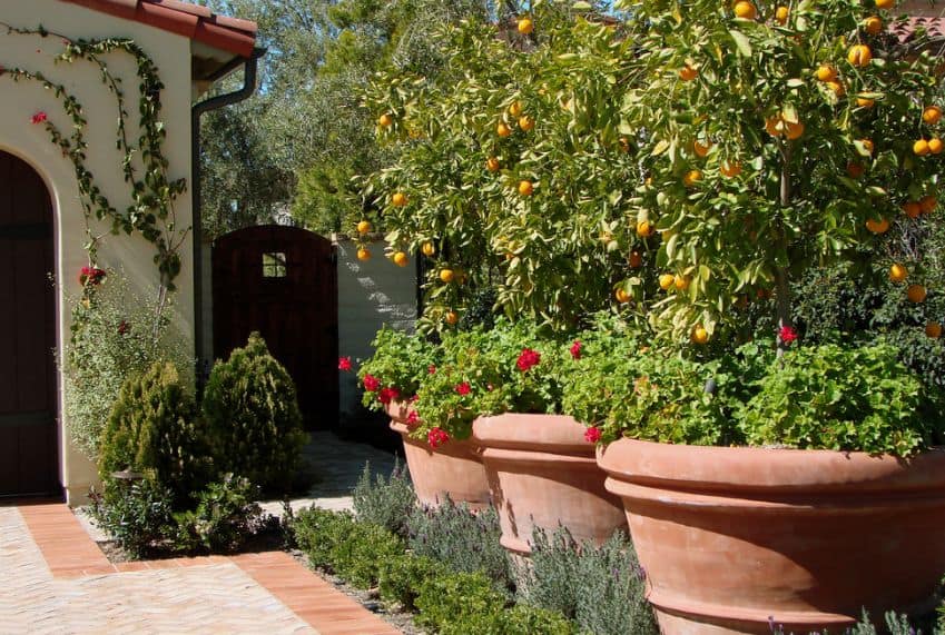 Large Pots And Planters Can Add Privacy