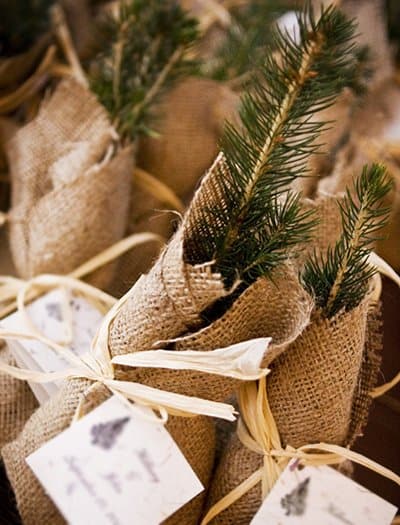 Rustic Wedding Favor