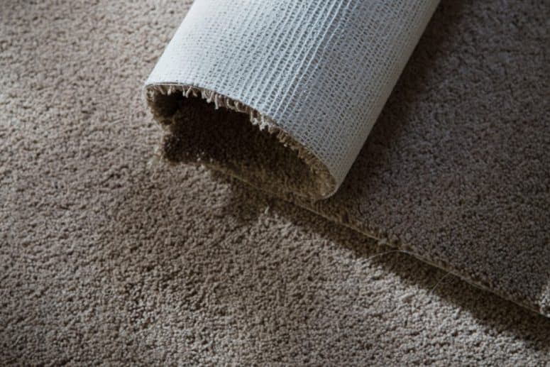 Types Of Rug - Nylon