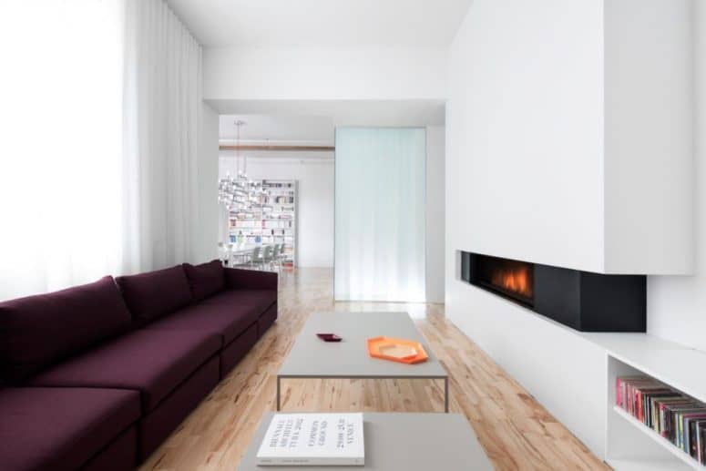 Apartment Modern Fireplace