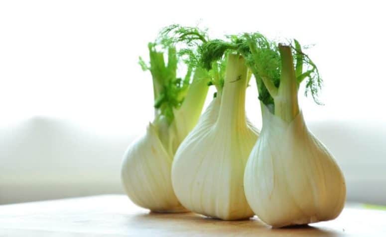 Fennel Stem Cutting