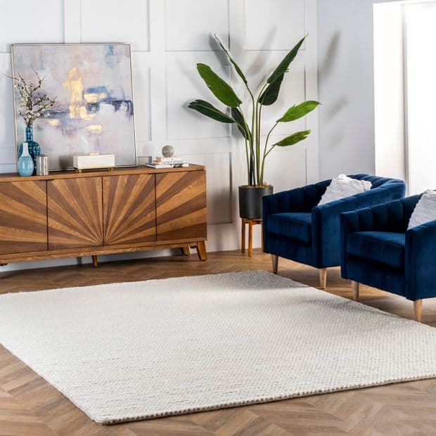 What Color Rug Goes With a Blue Couch - 15 Ideas