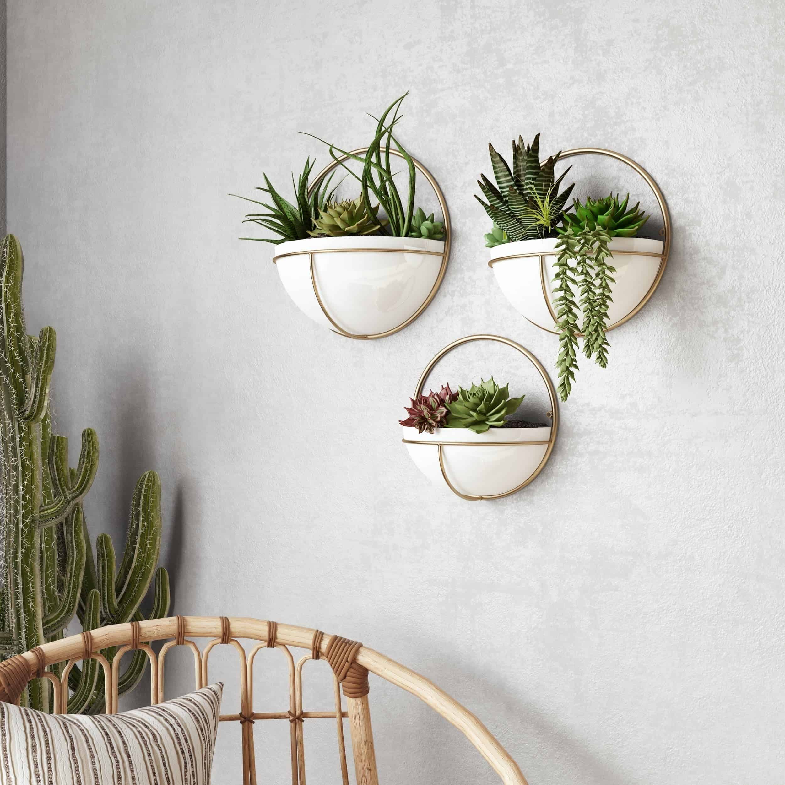 Wall Planters Liven Up Your Household