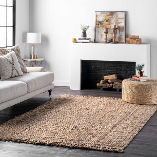 What Color Rug Goes With a Beige Couch - 15 Ideas