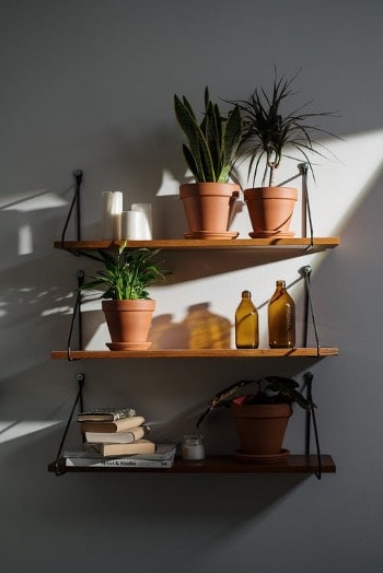 Add Potted Plants To Your Wall-Mounted Shelves