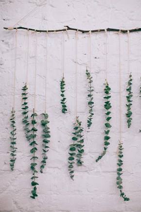 Get Creative With Hanging Eucalyptus Stems
