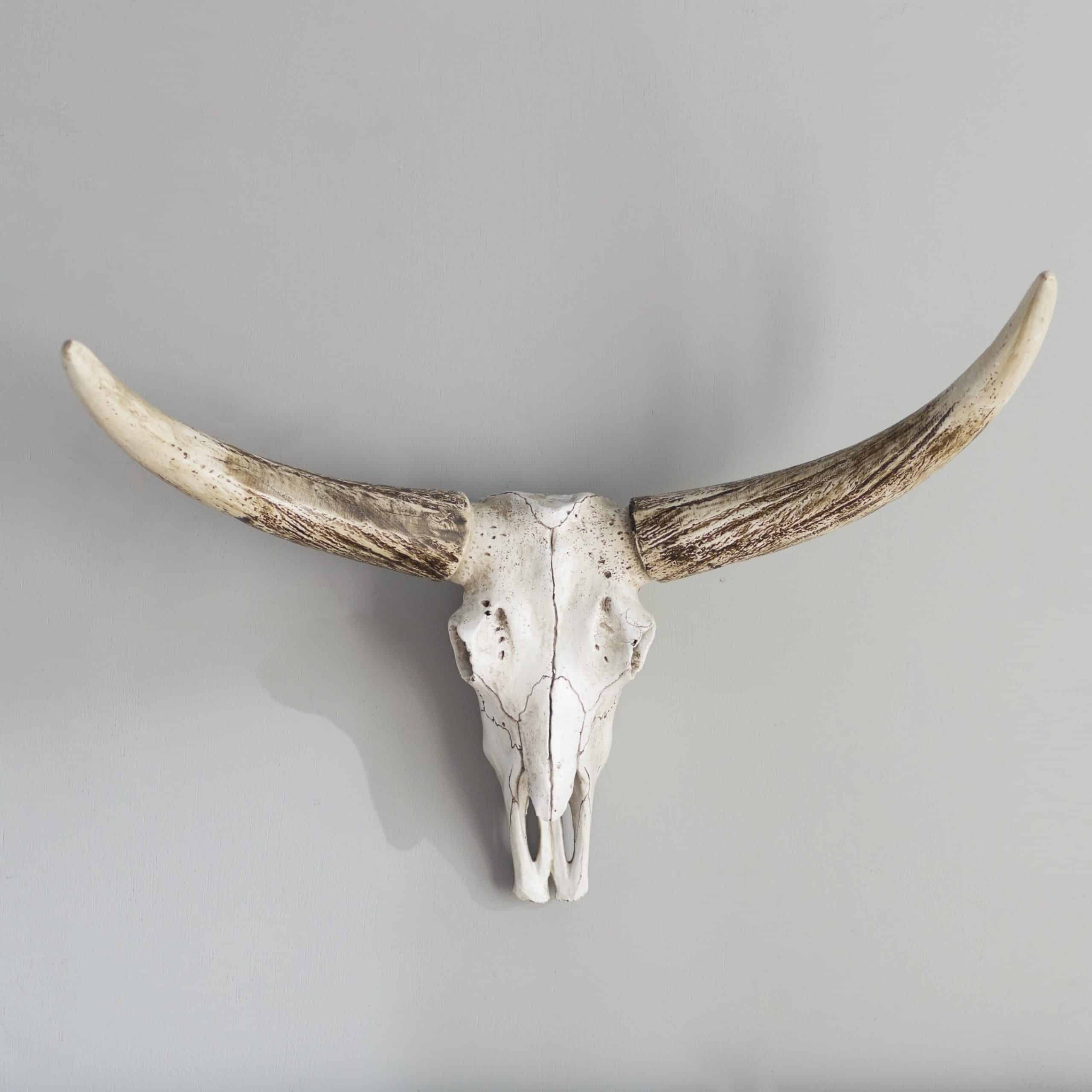 A Longhorn Skull Brings Unexpected Freshness to a Kitchen