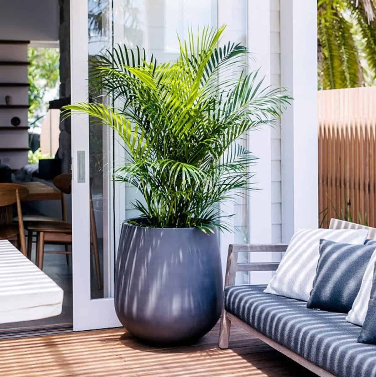 An Oversized Pot Planter Is A Bold Choice