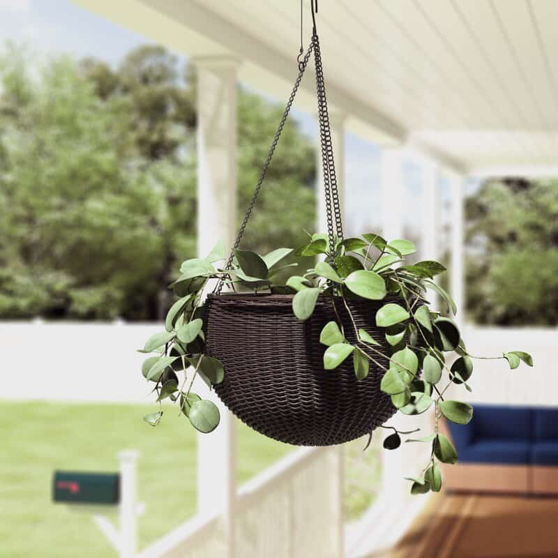 Hanging Pot Planters Are an Adorable Addition To Every Home