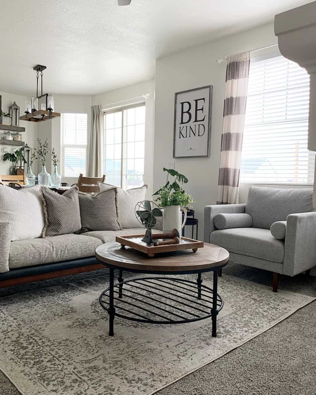 Transitional Gray Couch Living Room