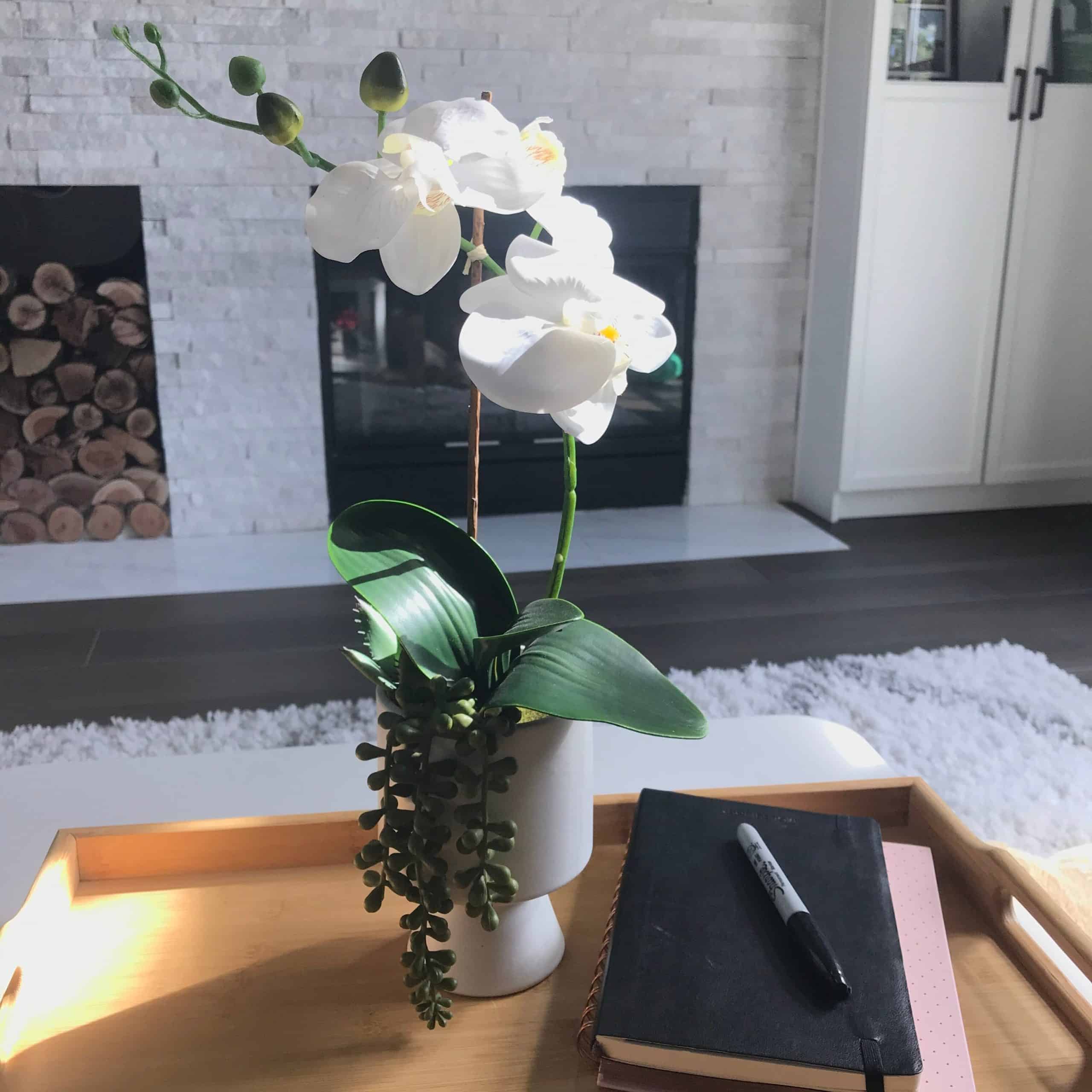 Orchids Make Your Dining Table Look Expensive