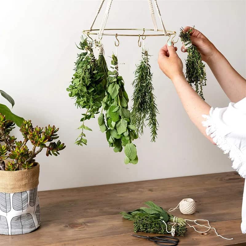 Mix Function And Fashion With An Herb Drying Rack