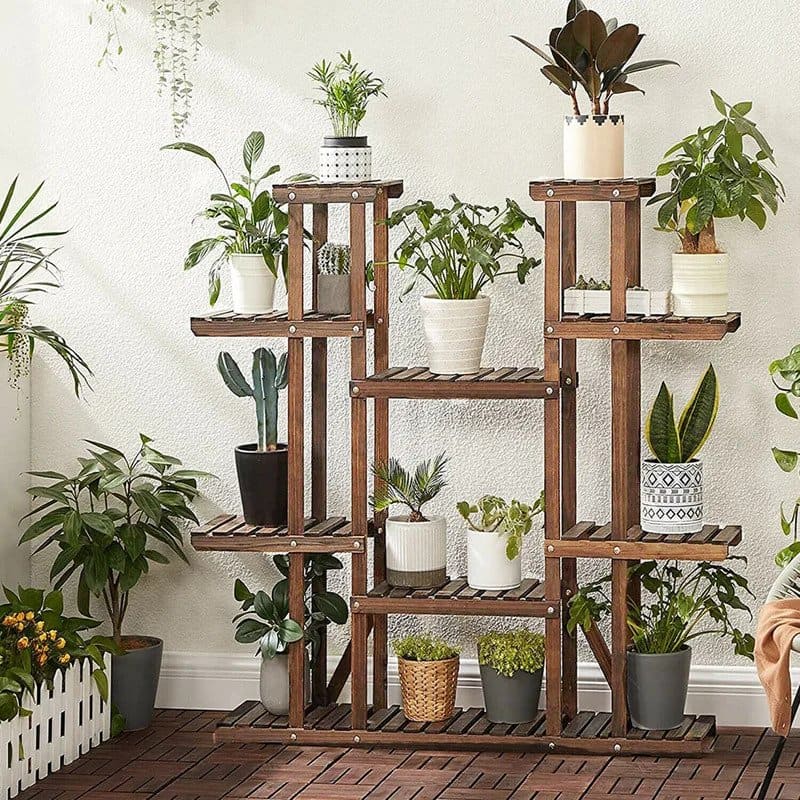 Create A Plant Wall